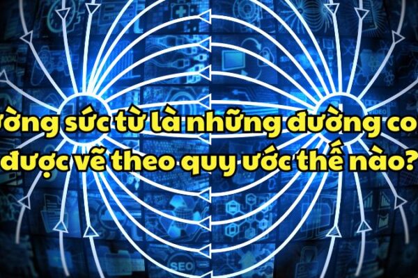 Đường sức từ là những đường cong được vẽ theo quy ước sao cho