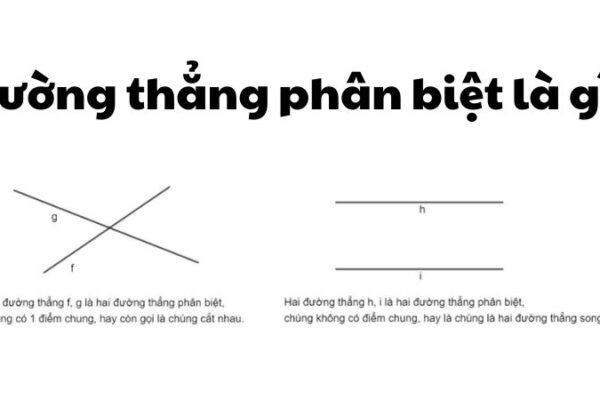 Đường thẳng phân biệt là gì?