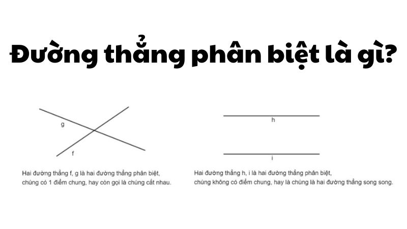 Đường thẳng phân biệt là gì?