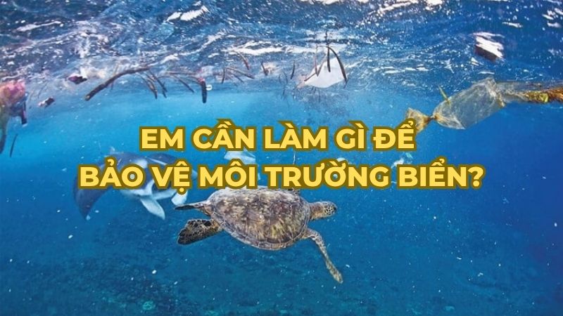 Em cần làm gì để bảo vệ môi trường biển?