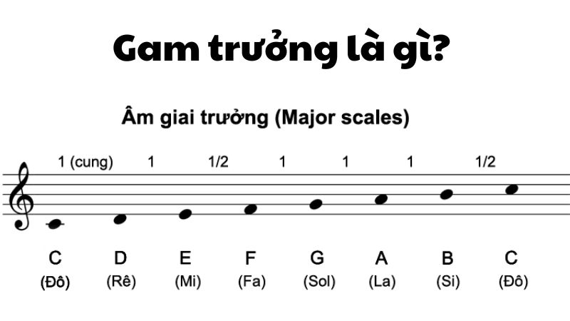 Gam trưởng là gì?