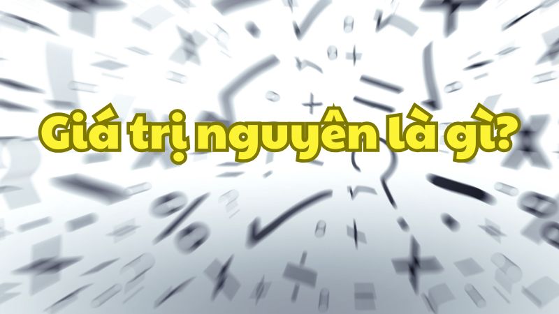Giá trị nguyên là gì?