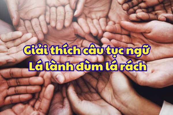 Giải thích câu tục ngữ Lá lành đùm lá rách