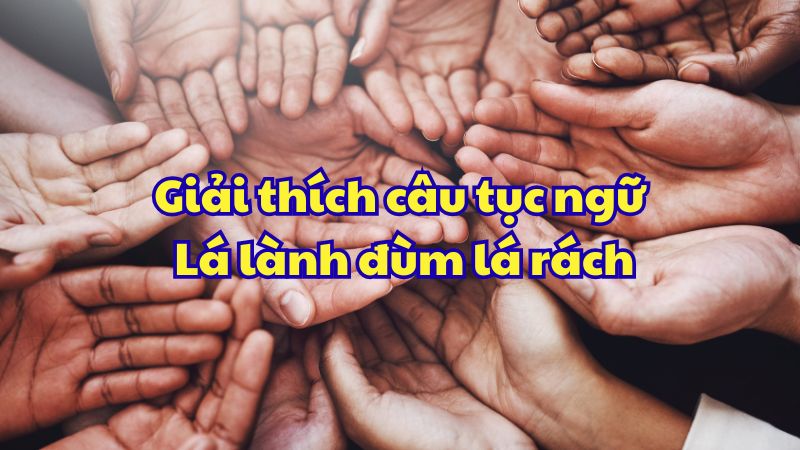Giải thích câu tục ngữ Lá lành đùm lá rách
