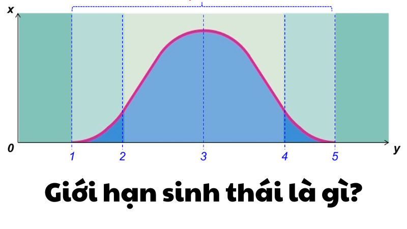 Giới hạn sinh thái là gì?