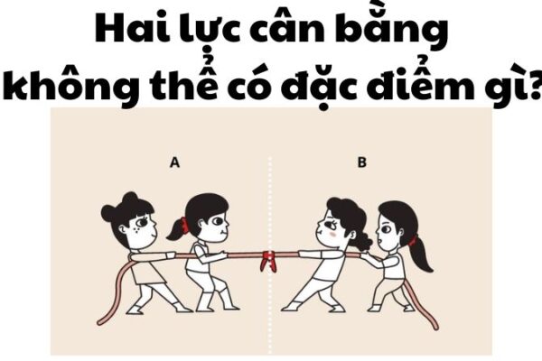 Hai lực cân bằng không thể có