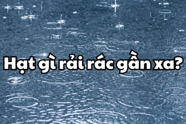 Hạt gì rải rác gần xa