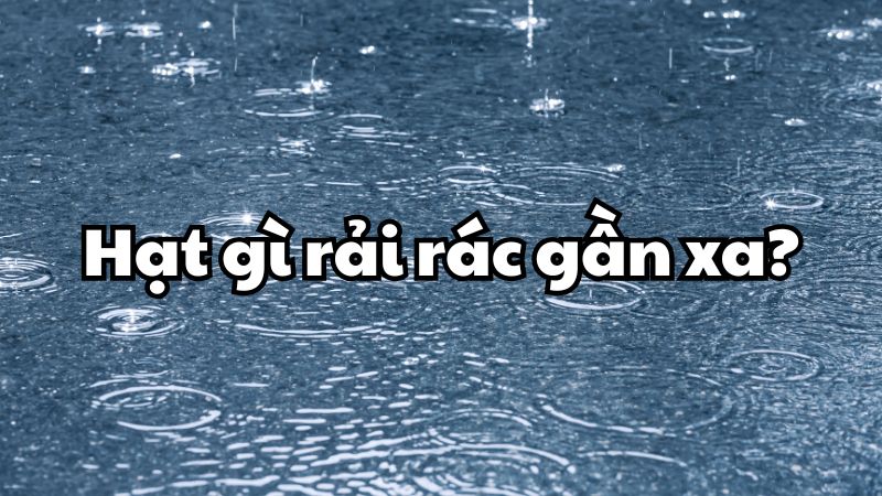 Hạt gì rải rác gần xa