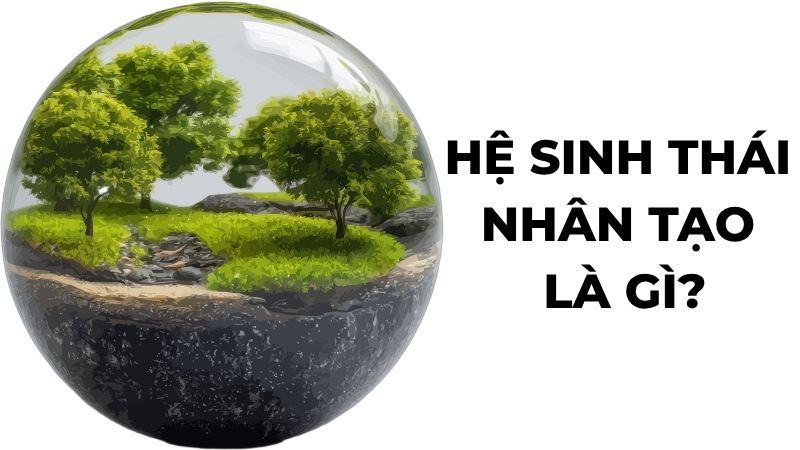 Hệ sinh thái nhân tạo là gì?