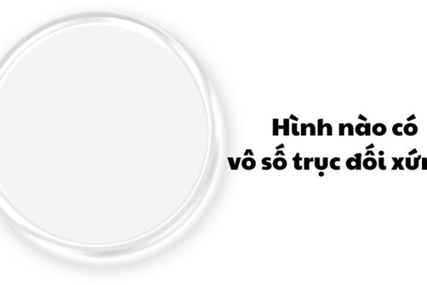 Hình nào có vô số trục đối xứng?