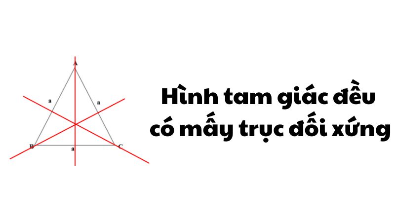 Hình tam giác đều có mấy trục đối xứng?