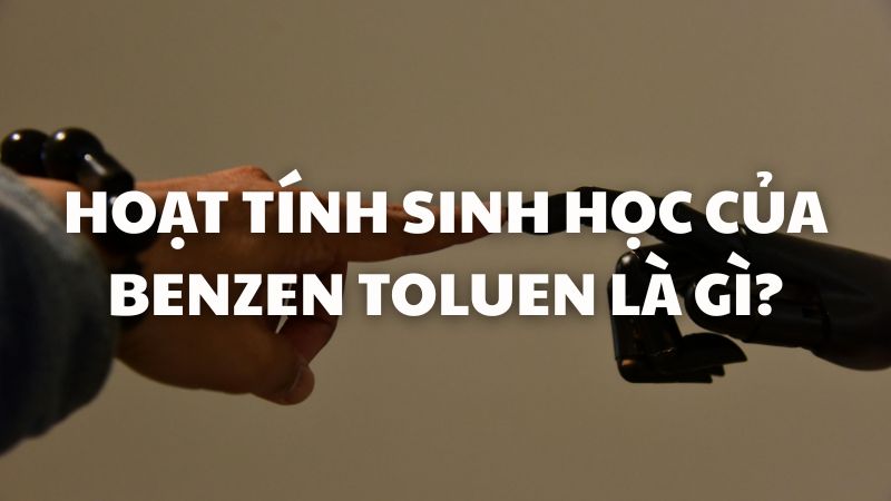 Hoạt tính sinh học của benzen toluen là gì?