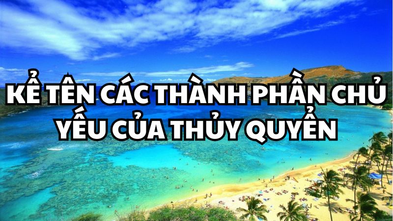 Kể tên các thành phần chủ yếu của thủy quyển