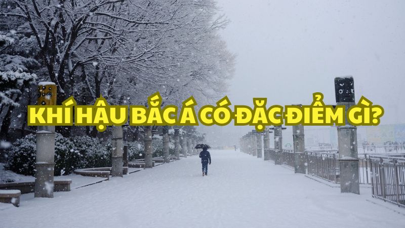 Khí hậu Bắc Á có đặc điểm gì?