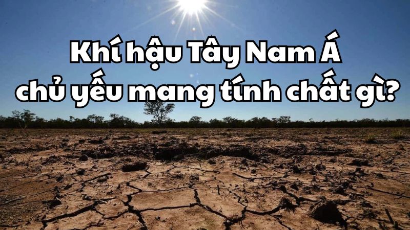 Khí hậu Tây Nam Á chủ yếu mang tính chất gì?