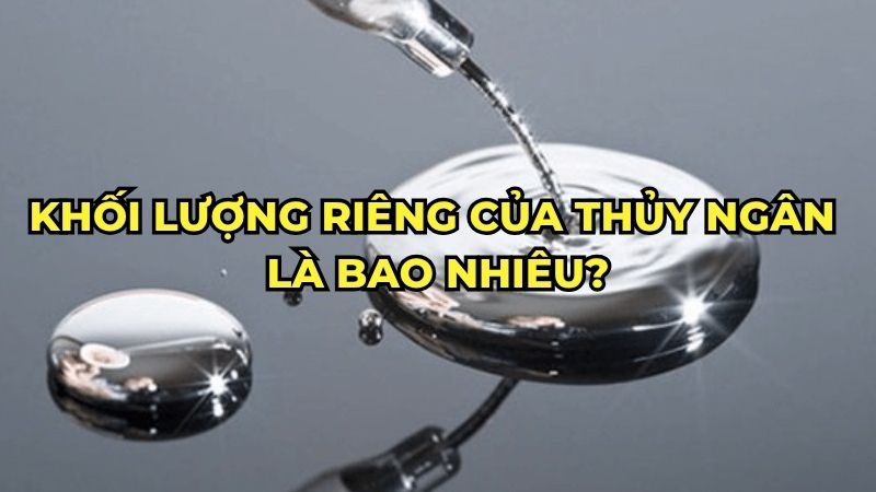 Khối lượng riêng của thủy ngân là bao nhiêu?