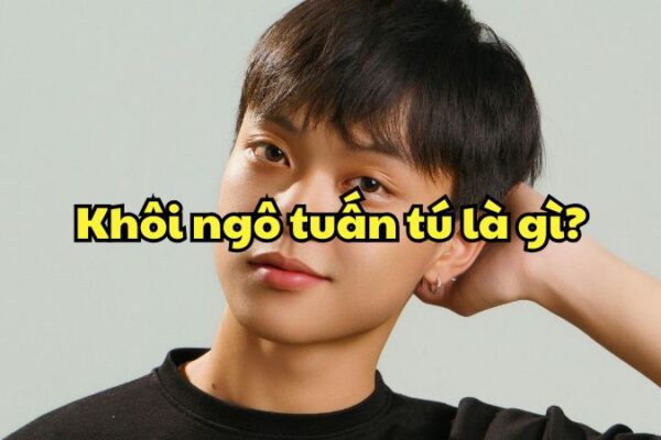 Khôi ngô tuấn tú là gì?