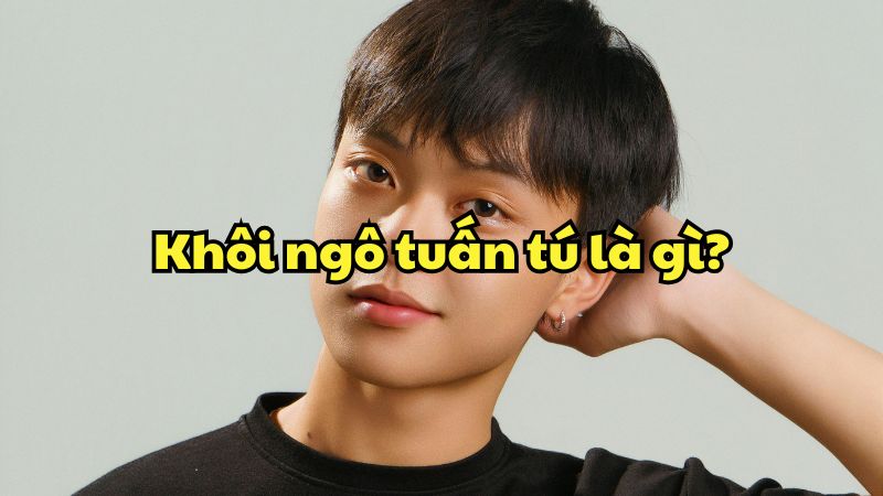 Khôi ngô tuấn tú là gì?