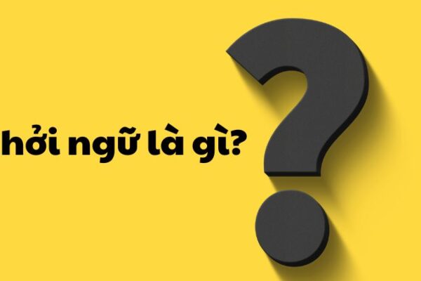 Khởi ngữ là gì?