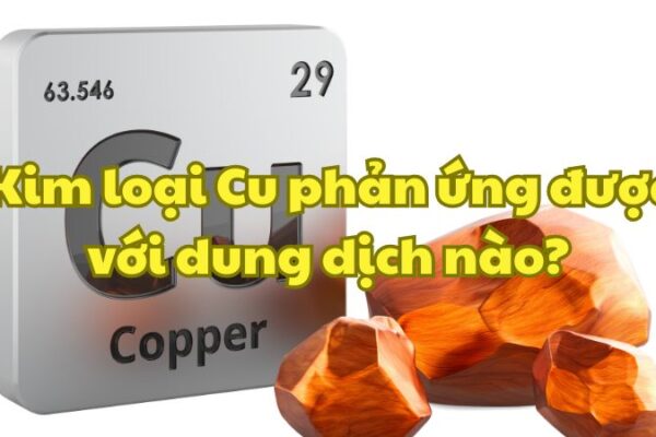 Kim loại Cu phản ứng được với dung dịch nào?