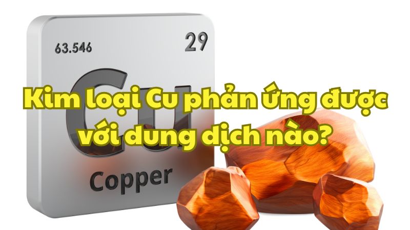 Kim loại Cu phản ứng được với dung dịch nào?