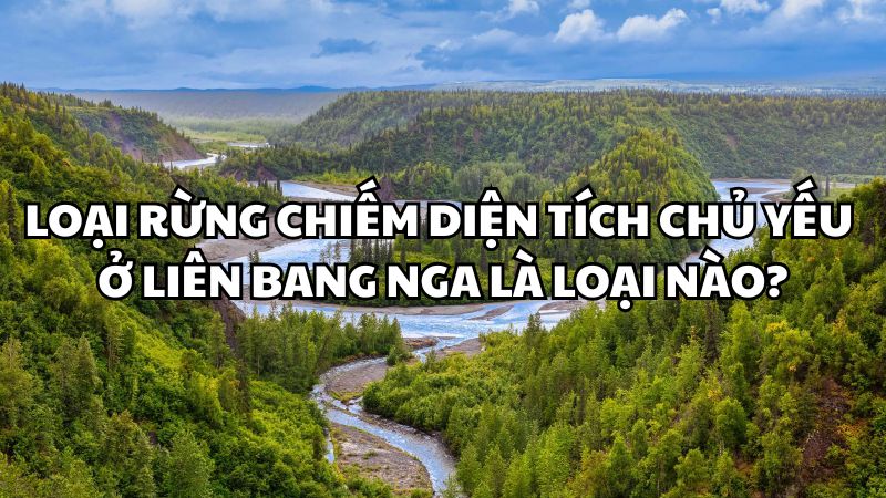 Loại rừng chiếm diện tích chủ yếu ở Liên Bang Nga là
