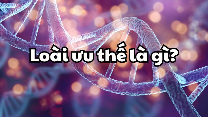 Loài ưu thế là gì?