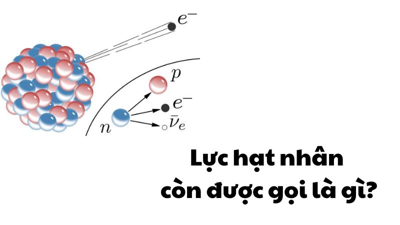 Lực hạt nhân còn được gọi là gì?