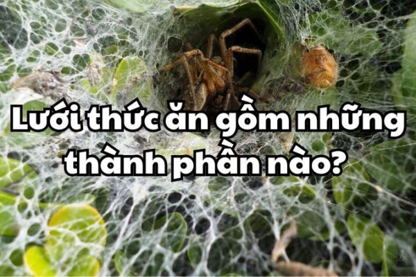 Lưới thức ăn gồm