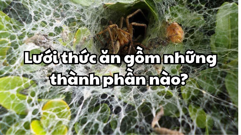 Lưới thức ăn gồm
