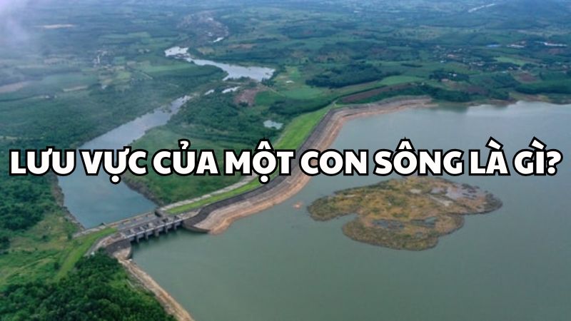 Lưu vực của một con sông là gì?