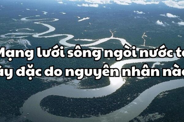 Mạng lưới sông ngòi nước ta dày đặc do đâu?