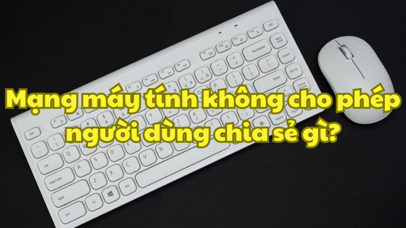 Mạng máy tính không cho phép người dùng chia sẻ gì?