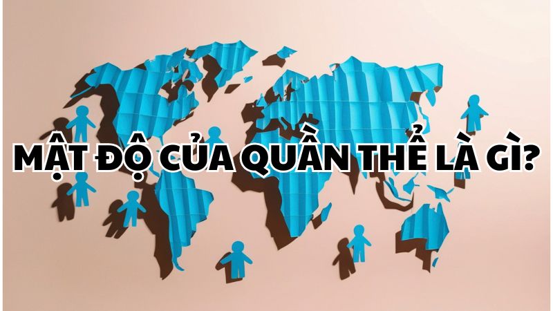 Mật độ của quần thể là gì?