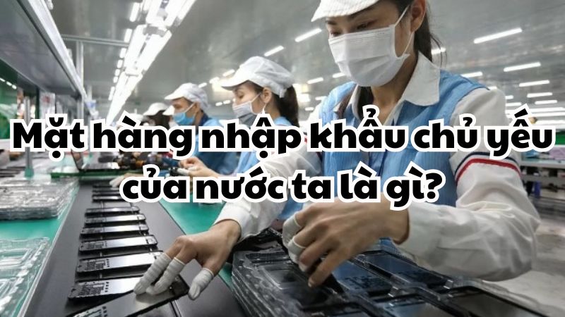 Mặt hàng nhập khẩu chủ yếu của nước ta là gì?