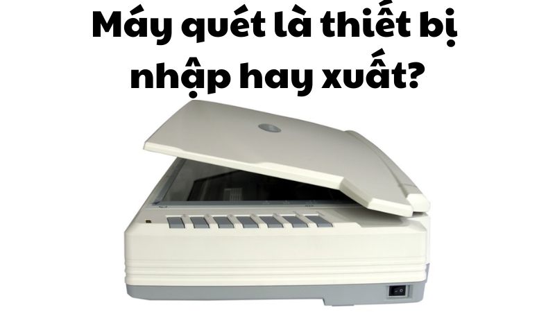 Máy quét là thiết bị nhập hay xuất?