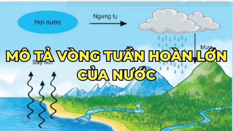 Mô tả vòng tuần hoàn lớn của nước