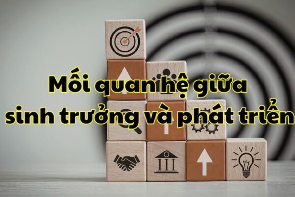 Mối quan hệ giữa sinh trưởng và phát triển