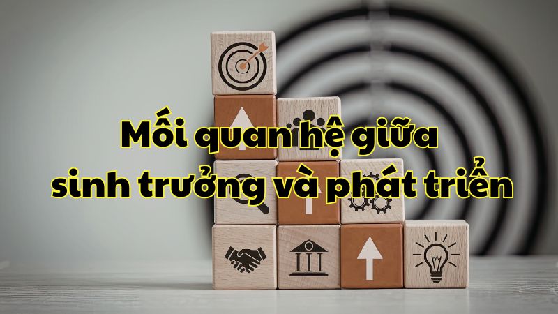 Mối quan hệ giữa sinh trưởng và phát triển