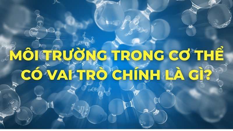 Môi trường trong cơ thể có vai trò chính là gì?