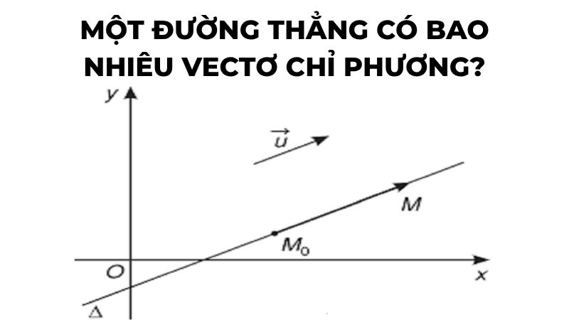 Một đường thẳng có bao nhiêu vectơ chỉ phương?