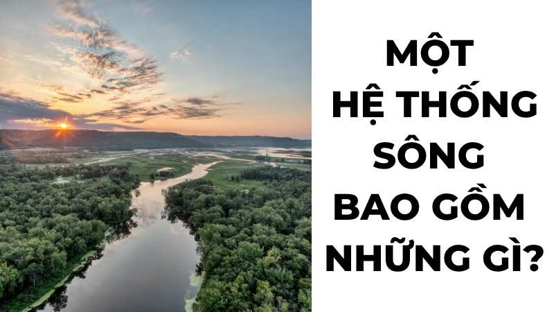 Một hệ thống sông bao gồm những gì?