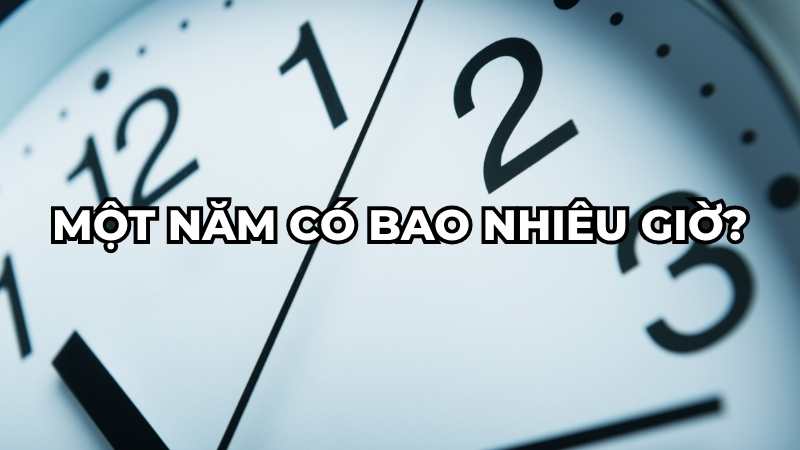 Một năm có bao nhiêu giờ?
