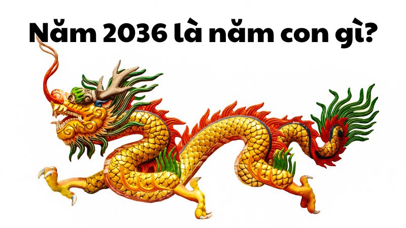 Năm 2036 là năm con gì?