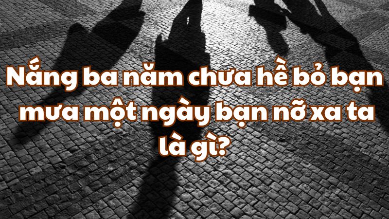 Nắng ba năm chưa hề bỏ bạn mưa một ngày bạn nỡ xa ta là gì?