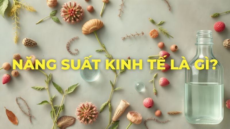 Năng suất kinh tế là gì?