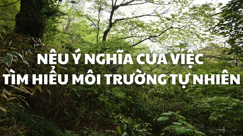 Nêu ý nghĩa của việc tìm hiểu môi trường tự nhiên