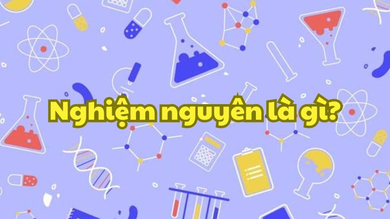 Nghiệm nguyên là gì?