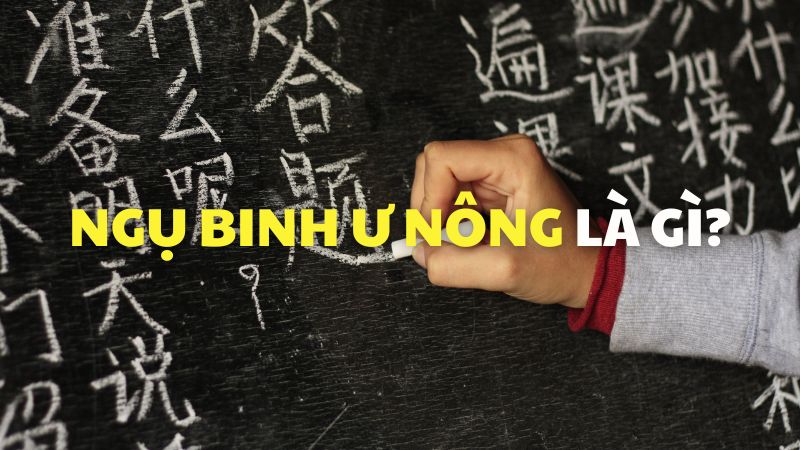 Ngụ binh ư nông là gì?