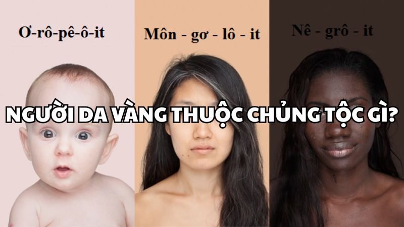 Người da vàng thuộc chủng tộc gì?